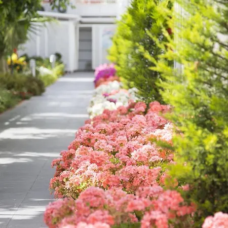 Курортний комплекс Sun Club 4*