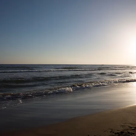 リゾート Sun Club シダ