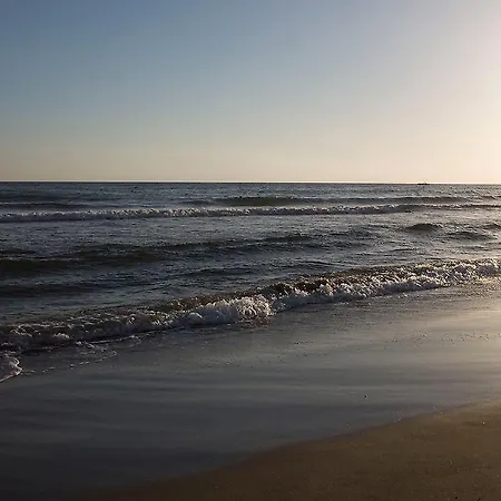 リゾート Sun Club シダ