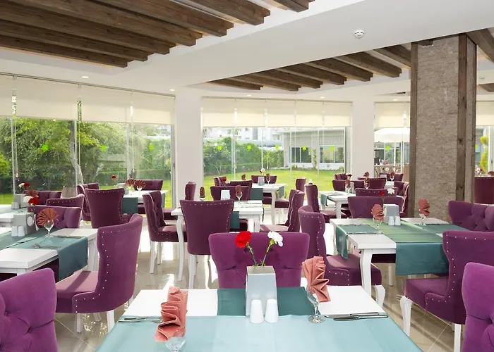 Sun Club 4* سيدي